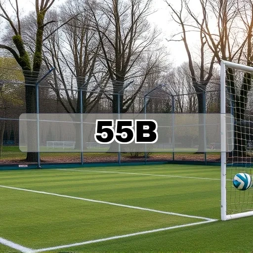 55b.com Privacidade